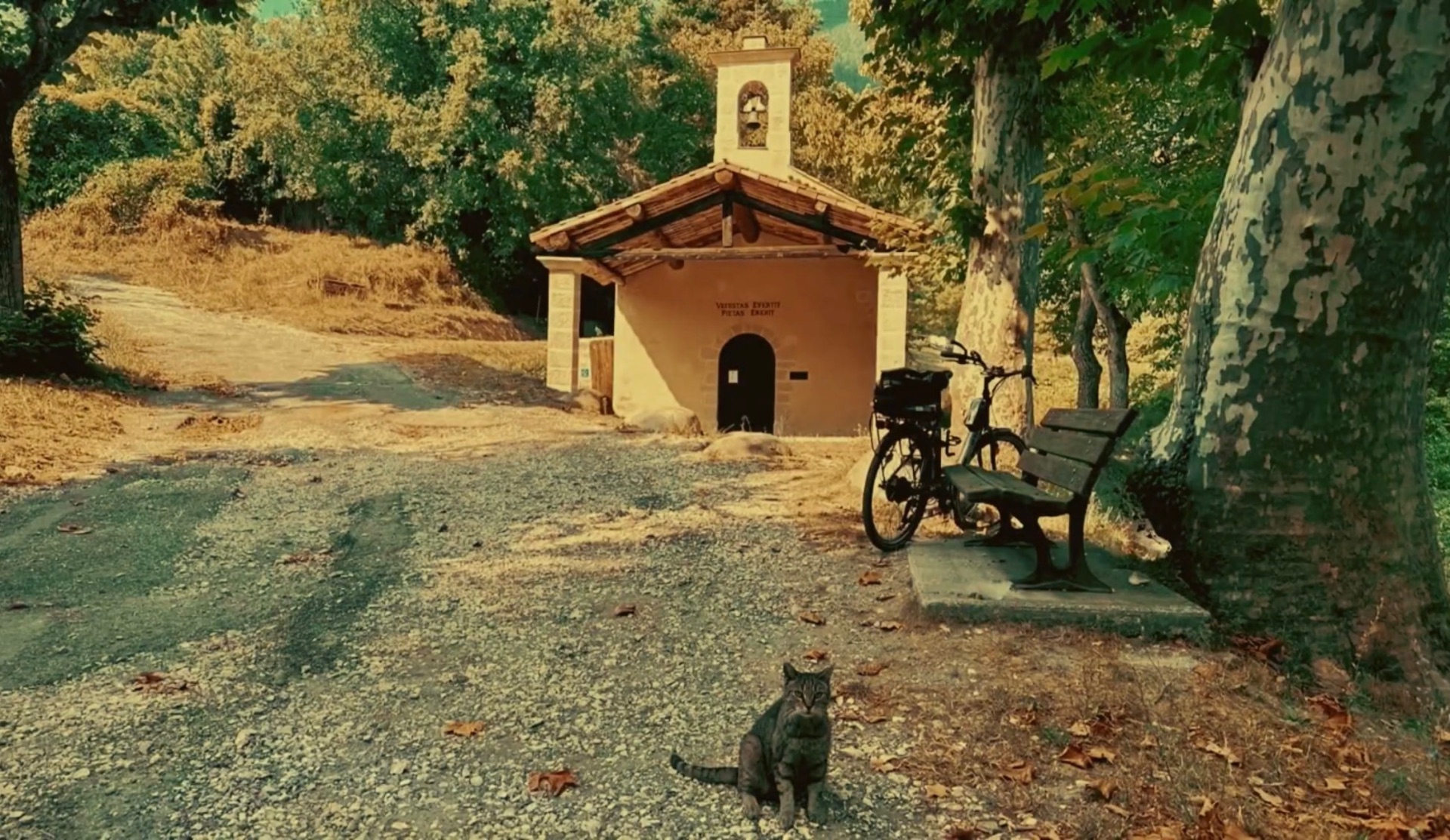 La chapelle de Vérimande sous les arbres, au bord du chemin, avec un banc et un chat